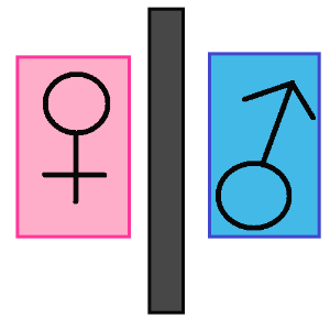  A dark gray bar with a pink rectangle with the Venus female symbol on the left, and a blue rectangle with the Mars male symbol on the right.